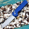 Arcform Slimfoot Automatic - Blue Alum (3.1" 154CM SW) ARC-061 -Knives Sales AF34855.3 06888.1653159430