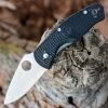 Spyderco Persistence - Lightweight (2.75" 8Cr13MoV Satin) C136PBK -Knives Sales C136PBK.1 95455.1646341565