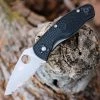 Spyderco Persistence - Lightweight (2.75" 8Cr13MoV Satin) C136SBK -Knives Sales C136SBK 32067.1646341056