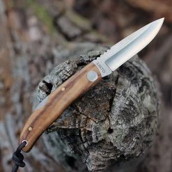 Castillo Listo - Olive Wood (3.2" 14C28N) C4OLW -Knives Sales C4OLW.1 92337.1660747742