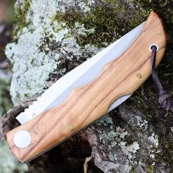 Castillo Tagus - Olivewood (3.6" 14C28N Satin) C5OLW -Knives Sales C5OLW.2 50793.1639078226