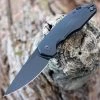 GiantMouse ACE Corta Folder - Black G10 (3" M390 Blackout) -Knives Sales CORTA BLACKOUT G10.1 34864.1651158622