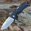 Cold Steel AD-10 Lite - Blk GFN (3.5" AUS-10A SS) FL-AD10 -Knives Sales CSFLAD10.1 33029.1656510748