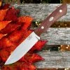 Fallkniven Taiga Forester 1 - Desert Ironwood (4.75" Lam. CoS) Zytel Sheath TF1Z -Knives Sales FNTF1Z 24122.1602166205