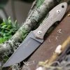 GiantMouse GMF3 Fixed Blade Natural Micarta (3.3" N690 PVD) GMF3P-NAT-PVD -Knives Sales GMF3P NAT PVD.1 50736.1616784230
