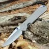 Chris Reeve Large Sebenza 31 Double Lug - Gray Ti (3.6" S45VN Drop Point) -Knives Sales L31 1000 DL.1 36209.1648571956.1280.1280 83868.1648572139