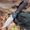 Chris Reeve Large Inkosi Natural Micarta Inlays, 3.6" S45VN (LIN-1014) -DOB 8/2/2022 -Knives Sales LIN 1014.1 97554.1659991653
