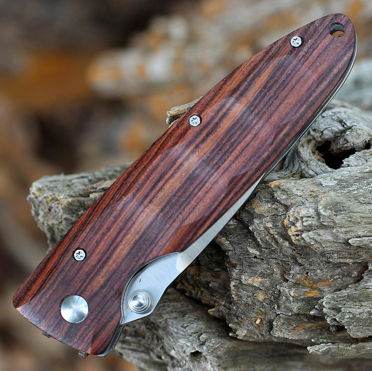 Mcusta Japan Basic Folding Knife Rosewood (3.3" VG-10 Satin) MC-0014R 5 Mcusta Japan Basic Folding Knife Rosewood (3.3" VG-10 Satin) MC-0014R - Image 3