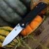 QSP Knife Parrot Linerlock QS102A, 3.25" D2 Satin Blade, Black G10 Handle -Knives Sales QS102 Black.1 93978.1603806343
