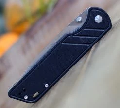 QSP Knife Parrot Linerlock QS102A, 3.25" D2 Satin Blade, Black G10 Handle 8 QSP Knife Parrot Linerlock QS102A, 3.25" D2 Satin Blade, Black G10 Handle -Knives Sales QS102 Black.3 59333.1603806344