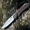 Chris Reeve Small Sebenza 31 Bog Oak Inlay (2.99" S45VN SW Drop Point) S31-1100 (DOB-3/28/22) -Knives Sales S31 1100.1 78002.1661263751