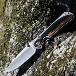 Chris Reeve Small Sebenza 31 - Matt-Blasted Ti w/ Macassar Ebony (3 " CPM S45VN SW ) S31-1116 (DOB-4/5/22)