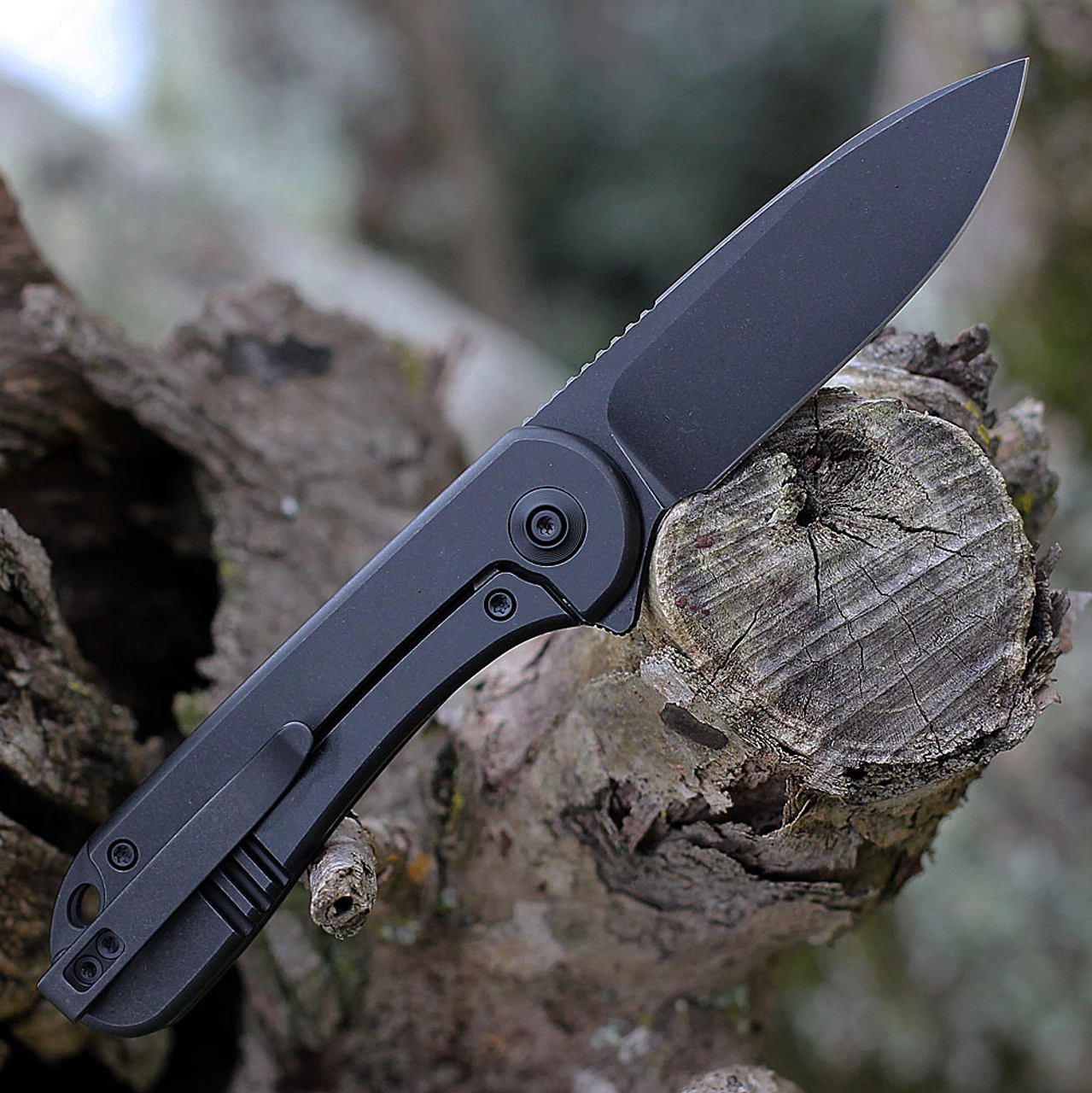 WE Knife Elementum Frame Lock - Blk Ti (3" CPM 20CV Blk SW) WE18062X-3 4 WE Knife Elementum Frame Lock - Blk Ti (3" CPM 20CV Blk SW) WE18062X-3 - Image 2