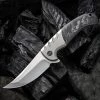 WE Knife Curvaceous Gray Ti /Marble CF (3.7" CPM-20CV Silver BB) WE20012-1 -Knives Sales WE200121 12252.1647981536