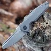 WE StarHawk Flipper - Gray Ti. (2.81 CPM-20CV Silver BB) WE21017-1 -Knives Sales WE210171.1 32062.1660588123